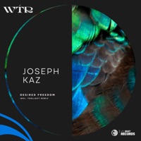Desired Freedom - Single - Joseph Kaz