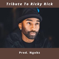 Tribute to Ricky Rick - Single - Ngobz