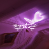 Celebratory Drink - Single - Brendon Senpai