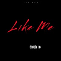 Like Me - Single - FSP Fumi