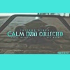 Calm but Collected (feat. Chris Rivers & Big Noyd) - Single