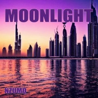 Moonlight - Single - NzumQ