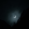 Midnight - Single