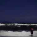 Trip Inside