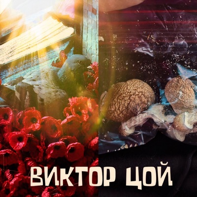 Виктор Цой - Single