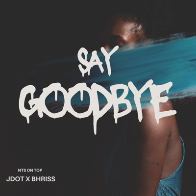 Say Goodbye (feat. 434Bhriss) - Single