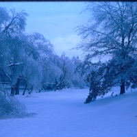 Rochester - Single - Elijah Fox