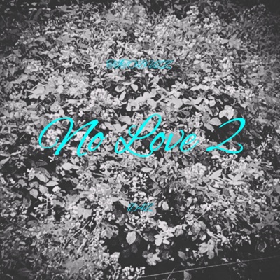 No Love 2 (with D4Z) - Single
