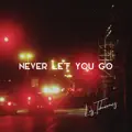Never Let You Go