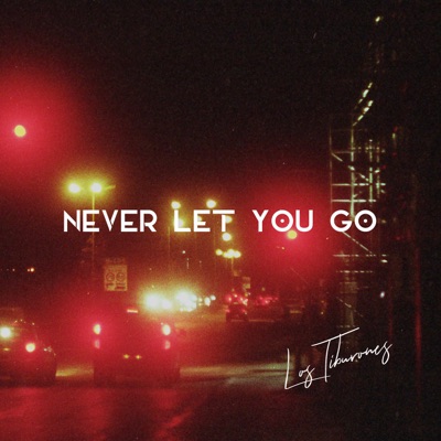 Never Let You Go - Single