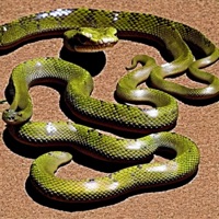 Done Up - Single - ABMPXC