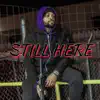 MAD Monty - Still Here
