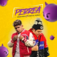 Perrea - Single - Einar Weez & Chino El Gorila