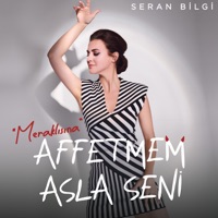 Affetmem Asla Seni (Meraklısına) - Single - Seran Bilgi