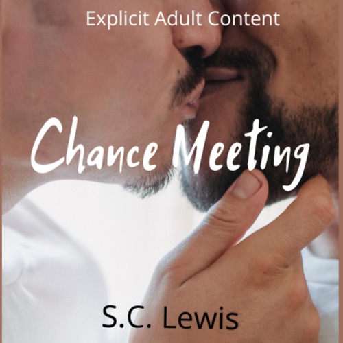 Chance Meeting (Unabridged) cover
