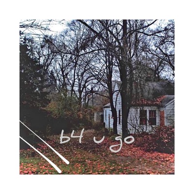 b4 u go (feat. Danni Darkoh) - Single