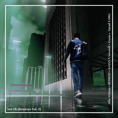 Not Ok (Remixes Vol. 2) [feat. Reya Lun] - EP