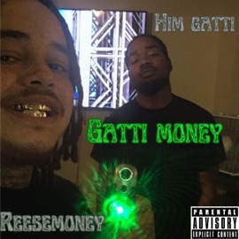 Jus sayin (feat. Him gatti) Reesemoney