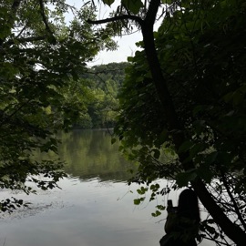 All To Myself trappdaplugg