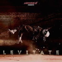 Levitate - Single - ANDDROYDBEAT$