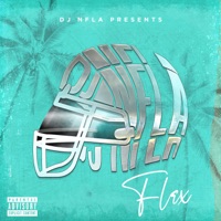 Flex (Radio Edit) [feat. John Blu & Rio Dezonero] - Single - DJ NFLA