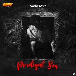Prodigal Son 12Boy