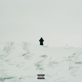 MONEYCALL Bad Boy Matelot & MOTUS