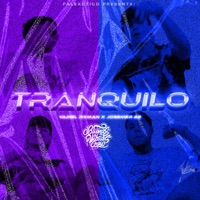 TRANQUILO (feat. Josemer) - Single - Yadiel Rxman