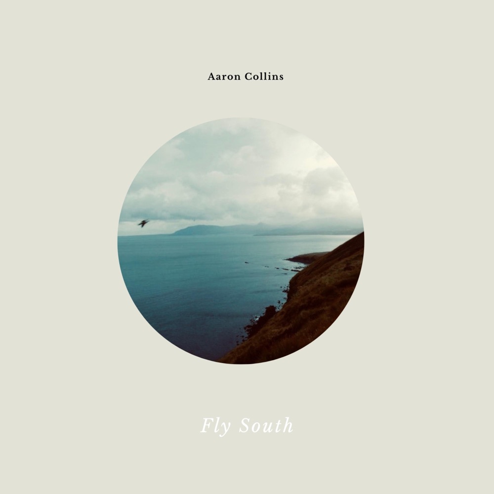 Обложка альбома «Fly South» — Aaron Collins