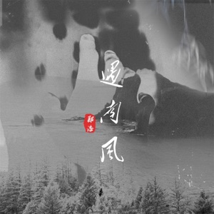 遇南风 - Single
