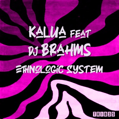 Ethnologic System (feat. Dj Brahms) - EP