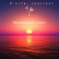 Малиновый закат (feat. Instinct) - Single - X-Life