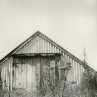 Fallen - Taylor Deupree