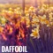Daffodil - Kean O'Donnell lyrics