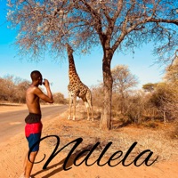 Ndlela - Single - LYTS