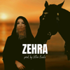Zehra (Instrumental) - Ultra Beats