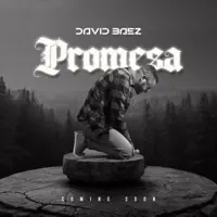 Promesa — Salmista David Báez