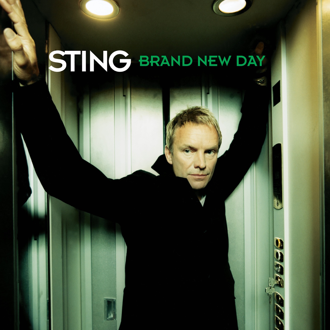 Brand New Day by Sting