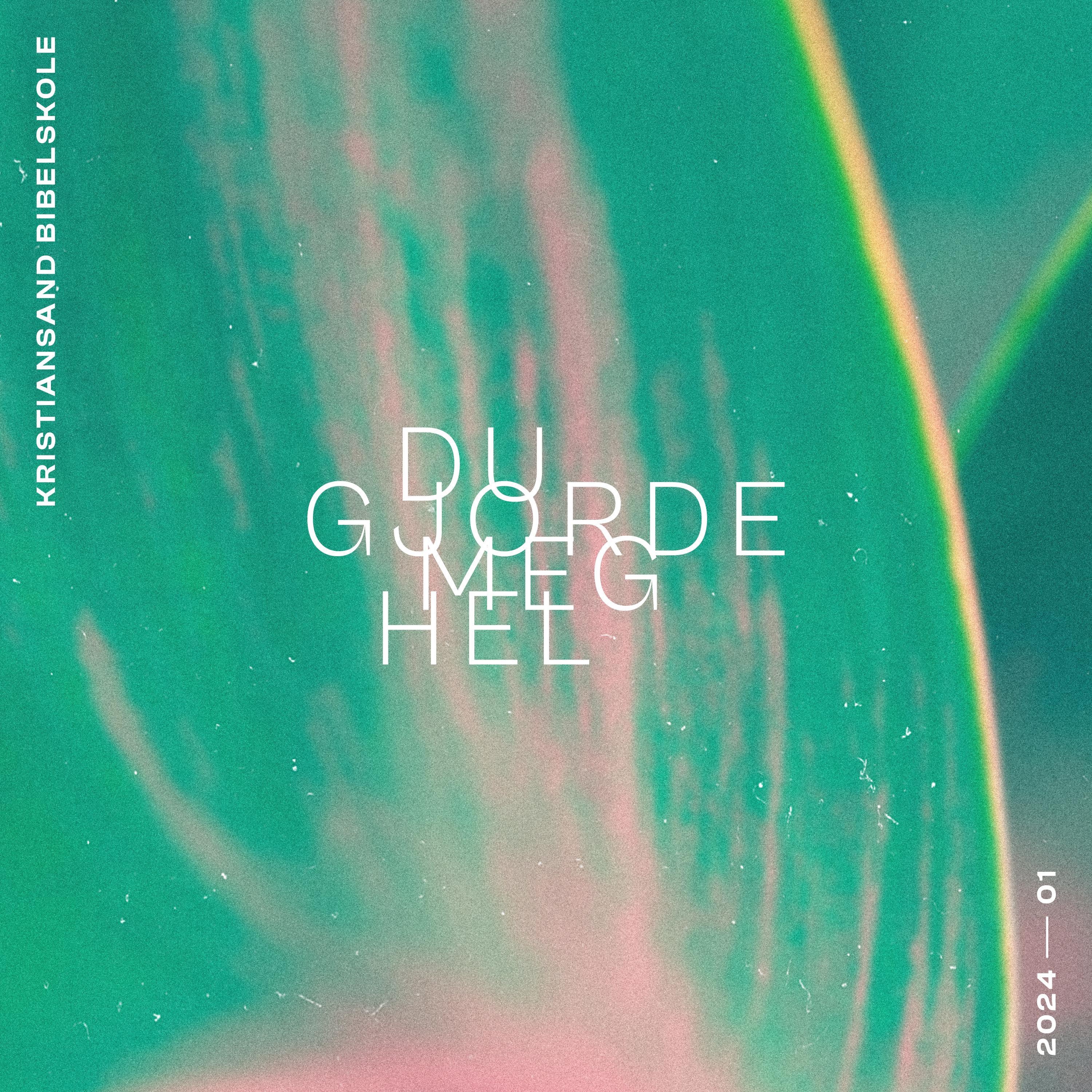 Du Gjorde Meg Hel - Single