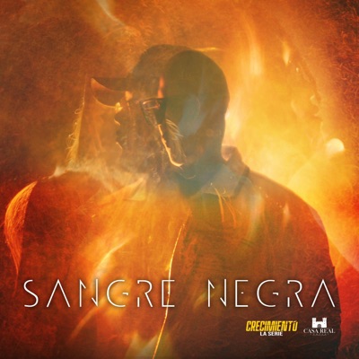 Sangre Negra (feat. Rolanx Tmt, Wylex, Yonar & Moustakas) - Single