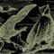 97/18 (feat. Slkrack & Bayass) - Flash lyrics