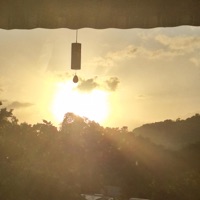 Unmotivated - Single - Dodgeraf