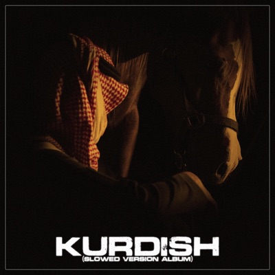 Merzan Beatz - Sersera Ser Çava (Slowed)