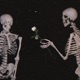 Deathbed Single