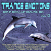 Trance Emotions Vol.12 (Best of Edm Playlist Compilation 2024) - Verschiedene Interpret:innen