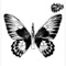 The Bullet and the Butterfly - Tommy $ins lyrics
