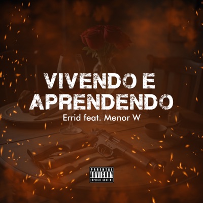 Vivendo e Aprendendo - Single