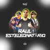 Raul Estelionatário - Single