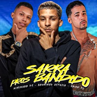 Sarra Pros Bandido - Single - Bruninho Astucia, Erick PL & Minimarr Ds