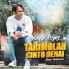 Tarimolah Cinto Denai - Single